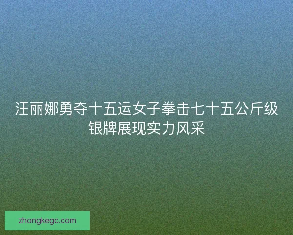 汪丽娜勇夺十五运女子拳击七十五公斤级银牌展现实力风采